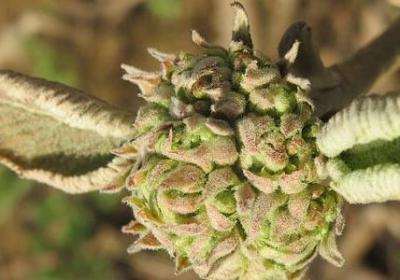 与涵有关的句子(推荐50句)