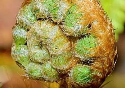 两个人互相折磨的句子(合集60句)