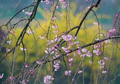 不问未来的文案句子(热门30句)