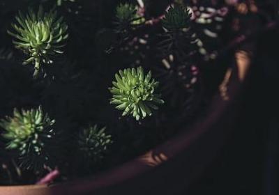 不让姑姐登门的句子(40句)
