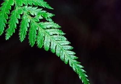 不该打扰别人的句子(热门70句)