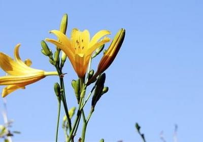 与子偕老的情侣句子(推荐51句)
