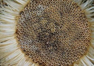 业主利益句子(必备50句)