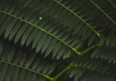 个性签名正能量的句子(优选70句)