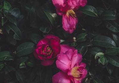 中秋节健康句子(热门10句)