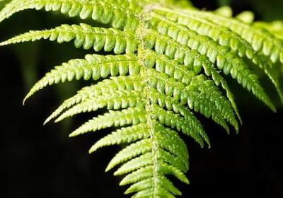 中秋节的句子训练(共40句)