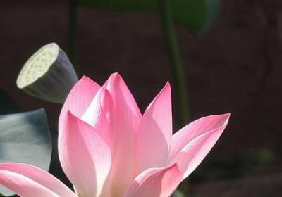 中秋节佳节发盆友圈的句子(汇总80句)