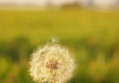 中午好的句子(热门60句)