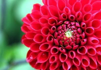 个性签名回忆伤感句子(共50句)