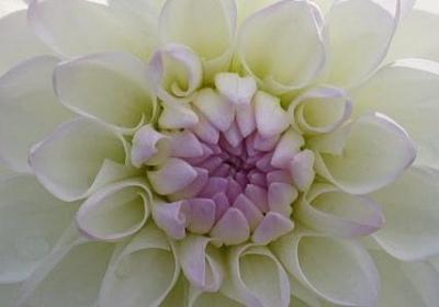 中外名人故事高级句子(精选23句)