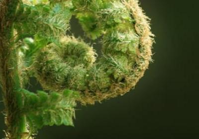 中秋节的句子app(共50句)