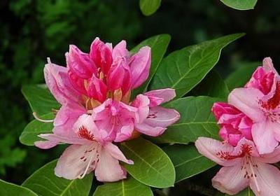 为爱人做菜感动句子(合集20句)