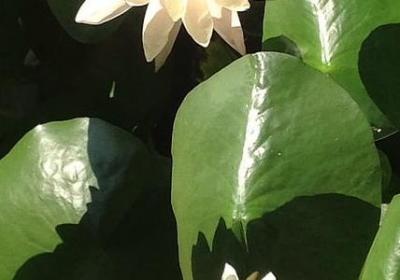 个性网长句子(必备80句)