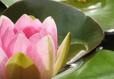 中秋祝福语走心句子(热门50句)