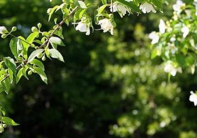 中秋简短发朋友圈的句子(60句)