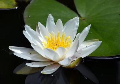 久别重逢唯美句子(通用20句)