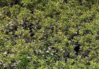 为明天加油的句子(推荐80句)