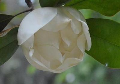 中秋节 好句子(21句)
