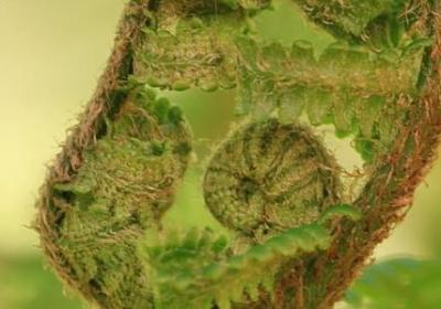 中秋遇上国庆双节句子(推荐15句)