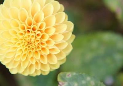 临夏方言的文案句子(30句)