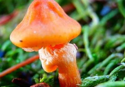 主角的简短句子(必备48句)