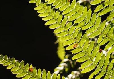 亭子写句子(精选20句)