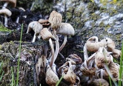 互益的句子(精选40句)