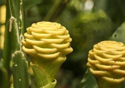 人不要忘恩的句子(推荐20句)