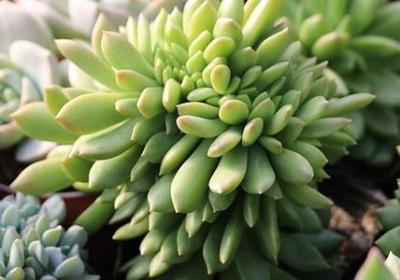 人不懂满足的经典句子(推荐50句)