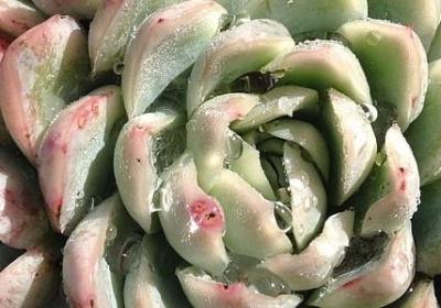 于心怎么组句子(精选40句)