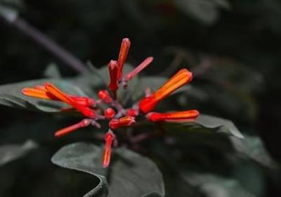 五年级下册的单词句子(推荐60句)