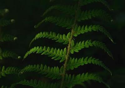 人生豪迈的句子(精选40句)