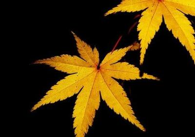 人生伤心感悟的句子(必备80句)