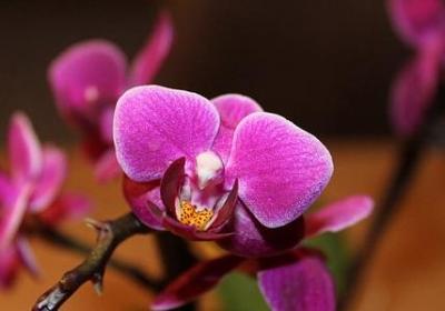人生要有焦点的句子(合集40句)