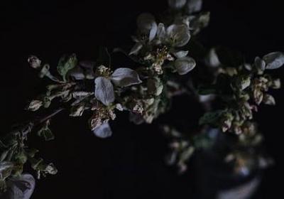 人流的句子(推荐15句)