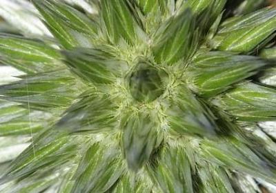 人生几多感想的句子(推荐80句)