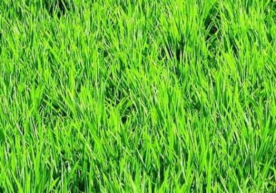 人生感句子(推荐50句)
