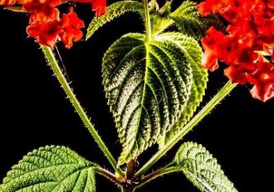 人生没有范本的句子(实用40句)