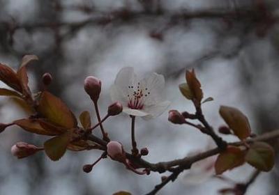 什么句子拽(实用10句)