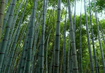人生职场简短的句子(通用69句)