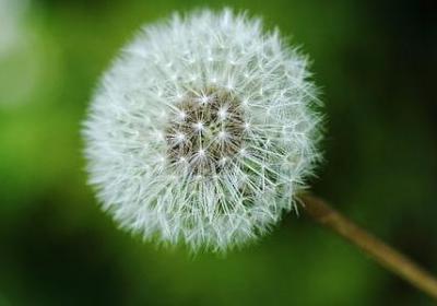 人生青春短暂的句子(推荐60句)