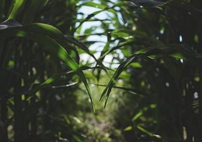 人工的句子(合集50句)