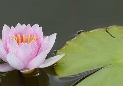 人死了的感慨句子(优选50句)