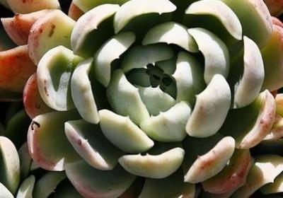 人教版五上英语句子表(优选120句)