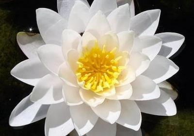 人生格言心灵善良句子(80句)