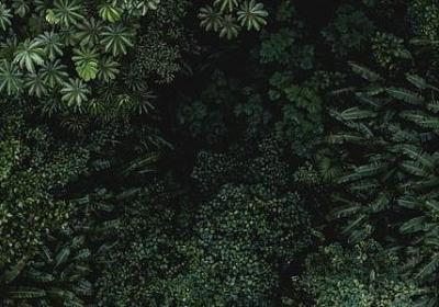 人生靠自己伤感句子(共40句)