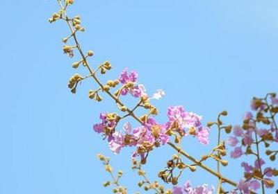 人消失的句子说说心情(汇总20句)
