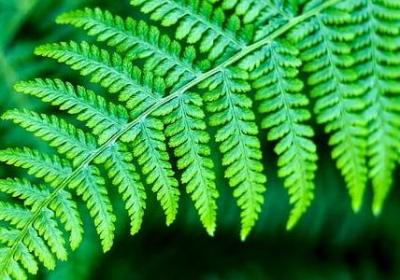 介绍老公性格的句子(热门55句)