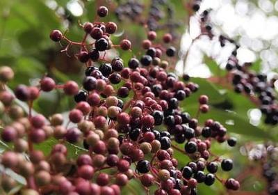 介绍同桌调皮的句子(必备39句)