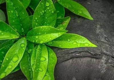 仁爱造句子(优选37句)